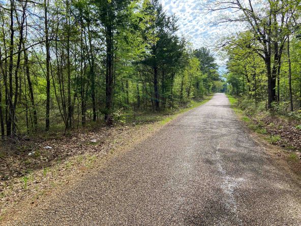 Farris 115 Timber: 00 CR 2215, Daingerfield, TX 75638